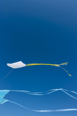  Juliette Berthonneau 3D weaving, textile, pleat, color & pattern design